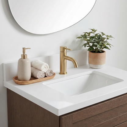 24" Coffee Bean Oak Shaker Vanity – Single Sink